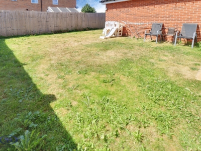 Picture 19